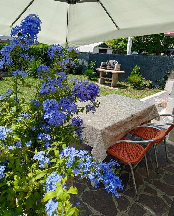 Bertos House Tra Mare E Laguna Cavallino-Treporti Zewnętrze zdjęcie