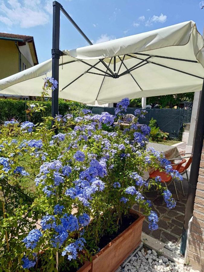 Bertos House Tra Mare E Laguna Cavallino-Treporti Zewnętrze zdjęcie